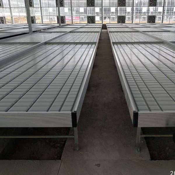 Ebb And Flow Bench For Greenhouse Vegetable