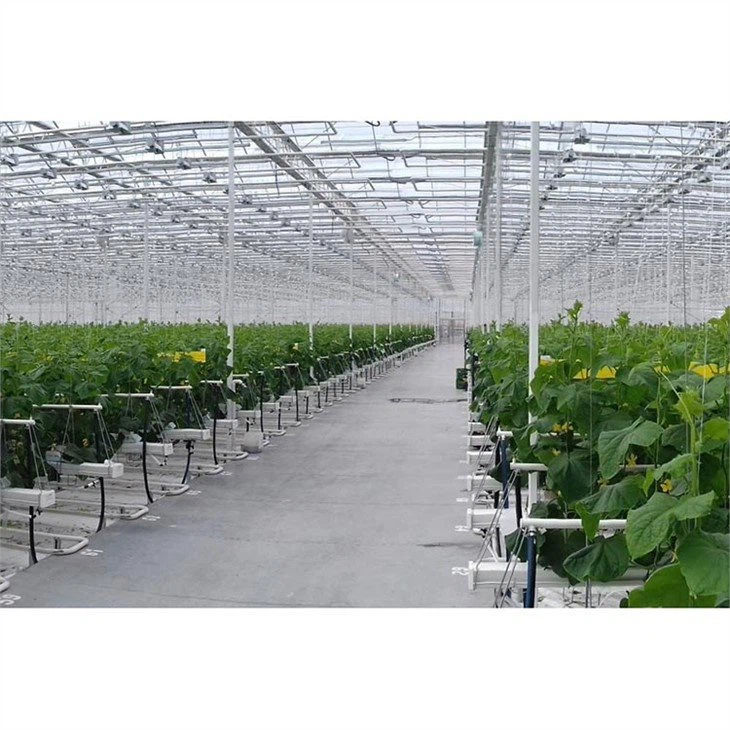 www.greenhouse-china.com