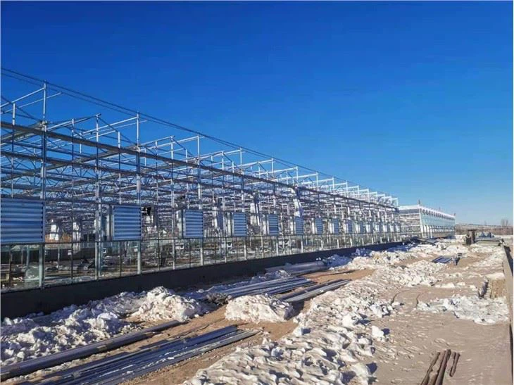 Greenhouse Steel Structure Frame Skeleton