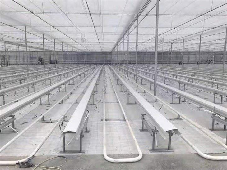 Weed-proof cloth green house