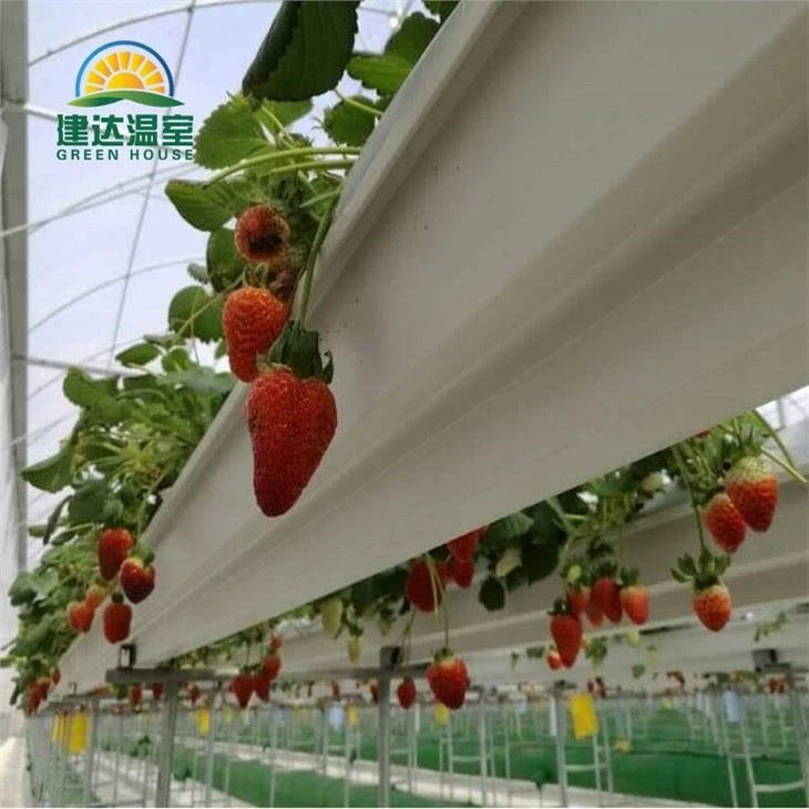 Hydroponic Vegetable Planting Gutter