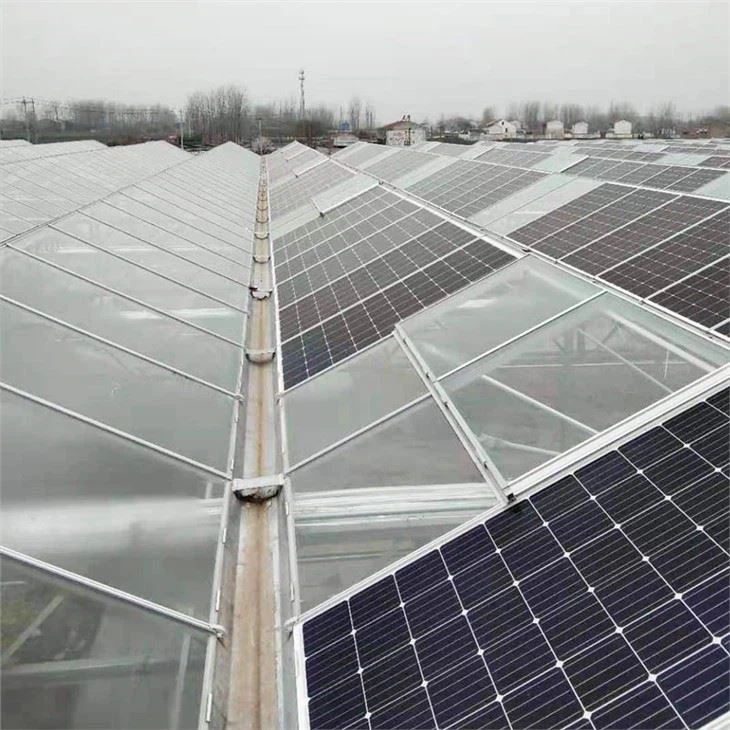 Photovoltaic Panel For Greenhouse