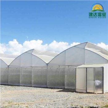 Tropiskt växthus sågtand tak