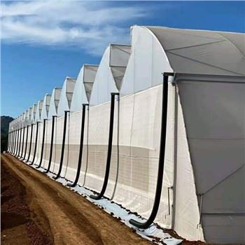 Tropical Multi Span Film Greenhouse