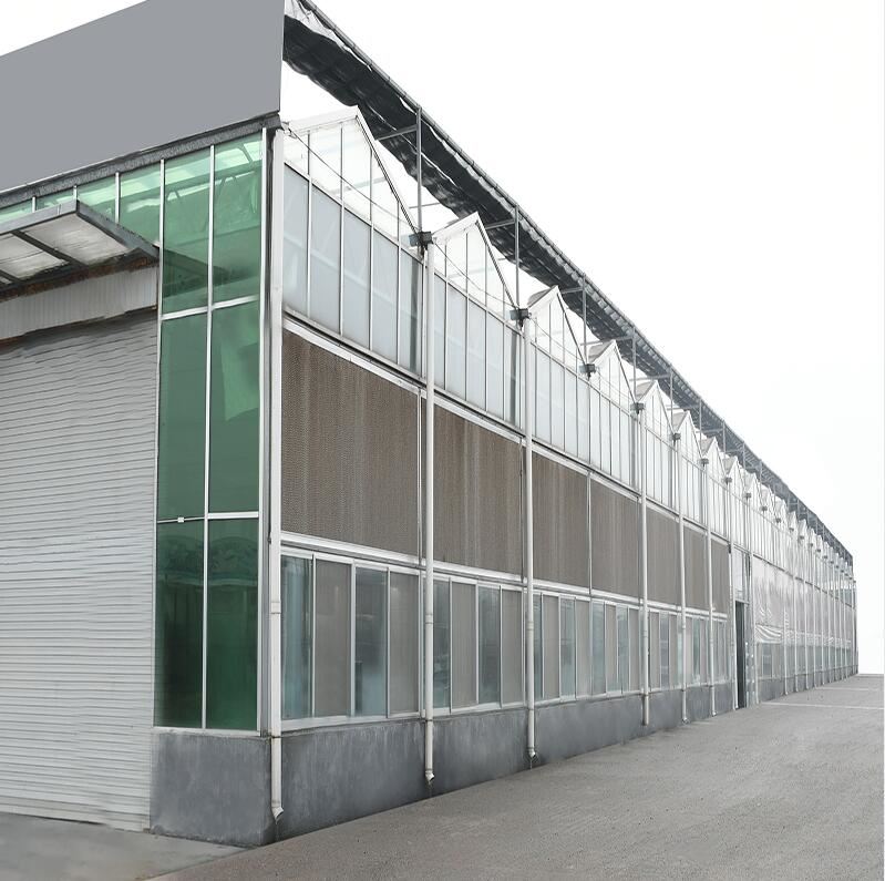 Växthus i glas med 4 mm glastäckning. 10k kvm växthus färdigställt