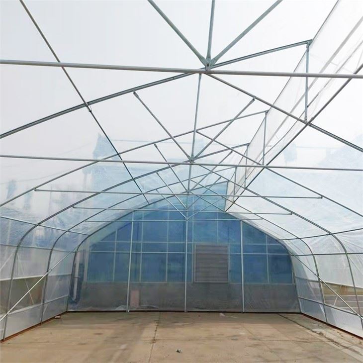 Sawtooth Greenhouse For Tropical Area With Roof Ventilation System