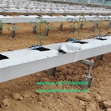 Hydroponiskt tomatväxthus